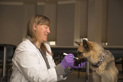 Dr. Barker wears a white doctor's coat and works with a German Shepherd dog.