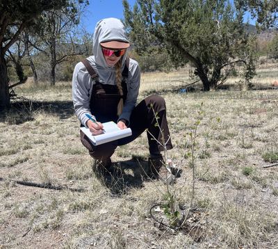Doctoral student Beatrice Bock kneels beside a desert plant with a notebook and pen.